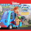 Puppy Dog Pals, Paw-some Road Trip! watch, hd download