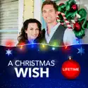 A Christmas Wish reviews, watch and download