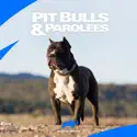 Pit Bulls and Parolees, Season 1 cast, spoilers, episodes, reviews