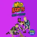 Wild Kratts: Cats & Dogs watch, hd download