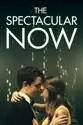The Spectacular Now summary and reviews