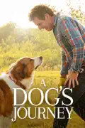 A Dog's Journey summary, synopsis, reviews