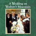 A Wedding On Walton's Mountain cast, spoilers, episodes, reviews