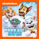 PAW Patrol, Brrr-ave Saves cast, spoilers, episodes and reviews