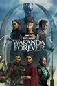 Black Panther: Wakanda Forever summary and reviews
