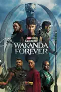 Black Panther: Wakanda Forever summary, synopsis, reviews