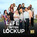 Love After Lockup, Vol. 3 cast, spoilers, episodes, reviews