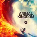 Animal Kingdom, Season 4 watch, hd download