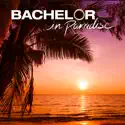 Bachelor in Paradise, Season 6 cast, spoilers, episodes, reviews