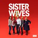 Sister Wives, Season 14 watch, hd download