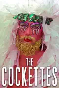 The Cockettes summary, synopsis, reviews