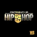 Growing Up Hip Hop, Vol. 7 release date, synopsis, reviews