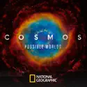 Cosmos: Possible Worlds cast, spoilers, episodes and reviews