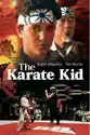 The Karate Kid summary and reviews