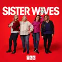 Sister Wives, Season 15 watch, hd download