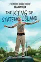 The King of Staten Island summary and reviews