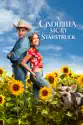 A Cinderella Story: Starstruck summary and reviews