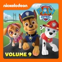 Pups Save Big Paw/Pups Save a Hum-Mover - PAW Patrol from PAW Patrol, Vol. 9