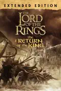 The Lord of the Rings: The Return of the King (Extended Edition) summary, synopsis, reviews
