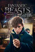 Fantastic Beasts and Where to Find Them summary, synopsis, reviews