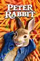 Peter Rabbit summary and reviews