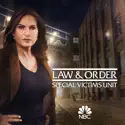 The Long Arm of the Witness (Law & Order: SVU (Special Victims Unit)) recap, spoilers