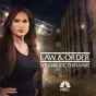Law & Order: SVU (Special Victims Unit), Season 22