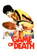 Game of Death summary, synopsis, reviews