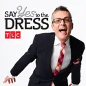 Say Yes to the Dress, Season 17 watch, hd download