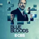 Blue Bloods Stars Reveal Their Favorite Episodes (Blue Bloods) recap, spoilers