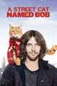 A Street Cat Named Bob summary and reviews