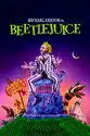 Beetlejuice summary and reviews