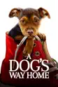 A Dog's Way Home summary and reviews