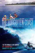 The Forgotten Coast summary, synopsis, reviews
