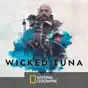 Wicked Tuna, Season 8
