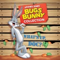 Elmer's Candid Camera - Bugs Bunny 80th Anniversary Collection from Bugs Bunny 80th Anniversary Collection