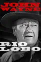 Rio Lobo summary and reviews