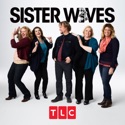 Sister Wives, Season 13 watch, hd download