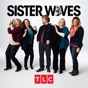 Sister Wives, Season 13