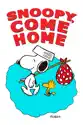 Snoopy, Come Home summary and reviews