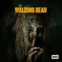 The Walking Dead, Season 9 watch, hd download