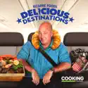 Bizarre Foods: Delicious Destinations, Season 10 cast, spoilers, episodes, reviews