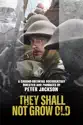 They Shall Not Grow Old summary and reviews