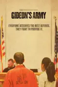 Gideon's Army summary, synopsis, reviews