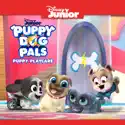 Puppy Dog Pals, Puppy Playcare watch, hd download