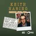 Keith Haring: Street Art Boy release date, synopsis, reviews
