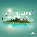 Island Life, Season 15 watch, hd download