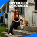 Pit Bulls and Parolees, Season 13 cast, spoilers, episodes, reviews