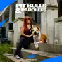 Pit Bulls and Parolees, Season 13