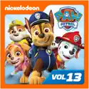PAW Patrol, Vol. 13 reviews, watch and download